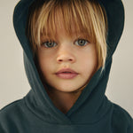 Hoodie GOTS Blue Grey