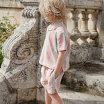 Shorts Venice Stan Stripe