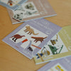 3x Stickerbögen Dinos