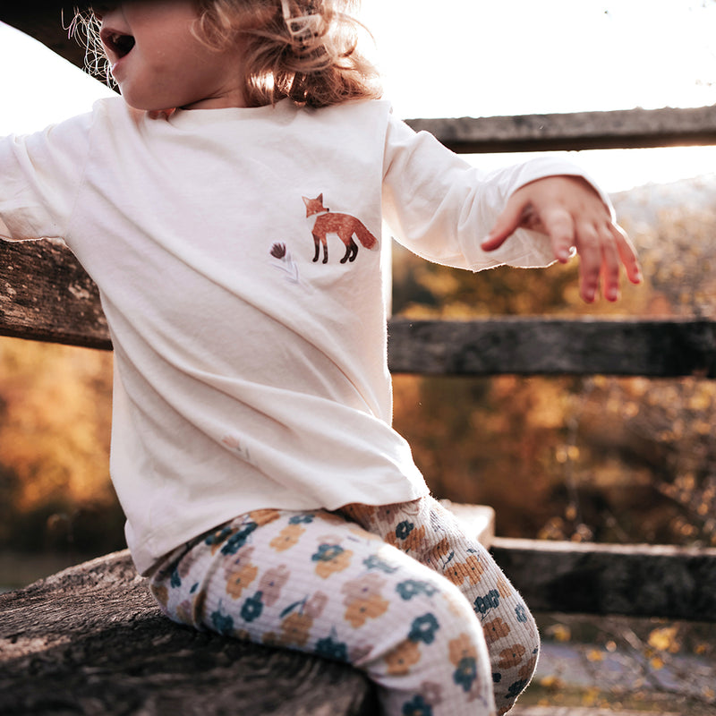 Bügelbilder Little Piep