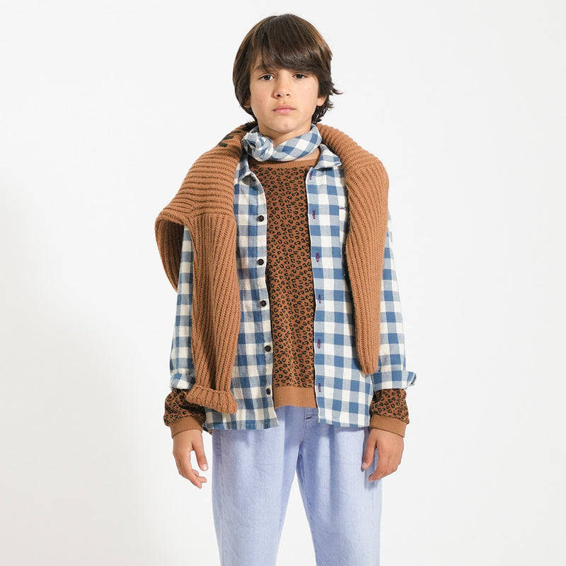 Shirt Blue & White Checkered