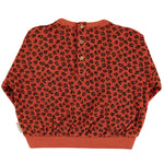 Sweatshirt Terry Cotton Terracotta with Animal Print