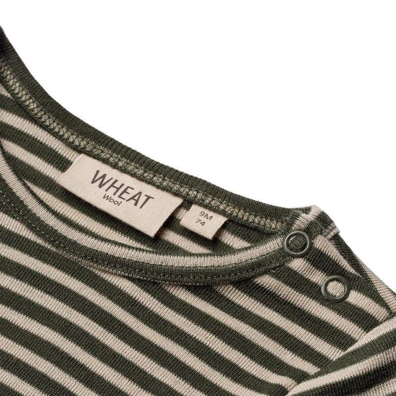 Merino Body Green Stripe