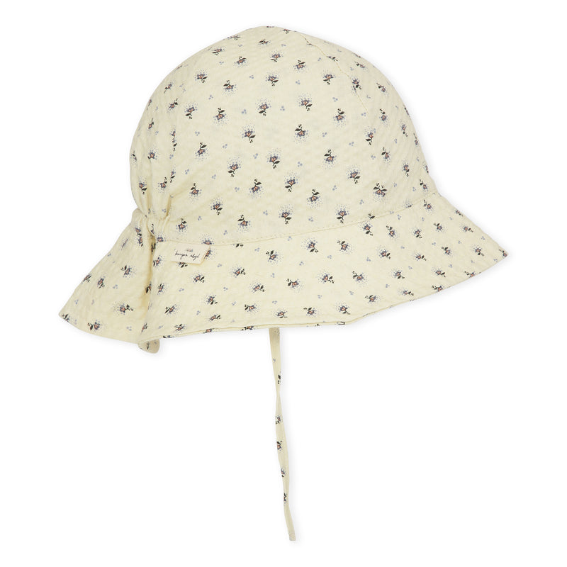 Sonnenhut Bitsy Point Bleu